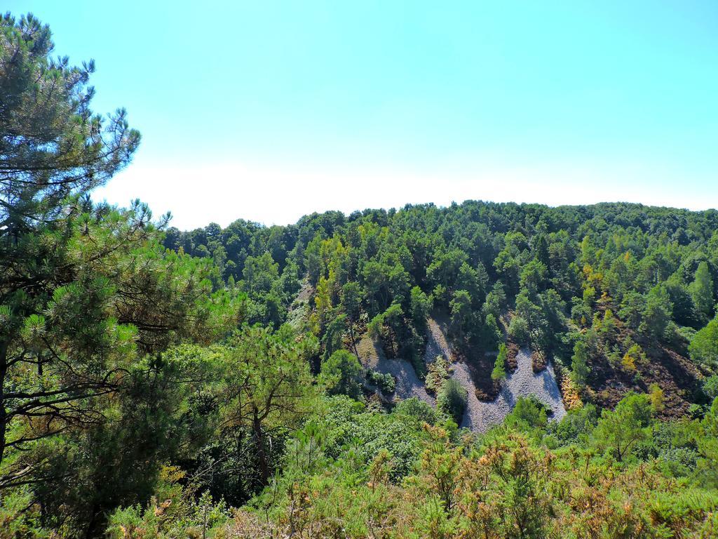 Gite Le Bourgneuf Fresnay-sur-Sarthe Eksteriør billede
