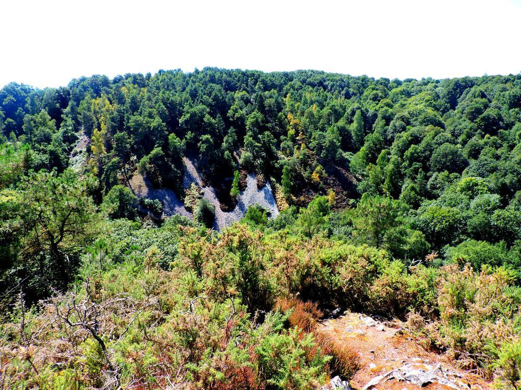 Gite Le Bourgneuf Fresnay-sur-Sarthe Eksteriør billede